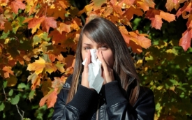 Профилактика заболеваний осенью