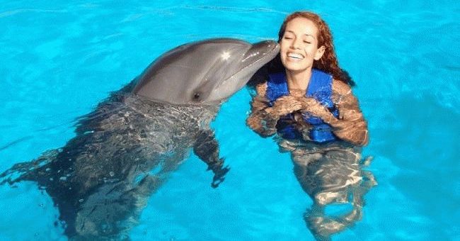 Дельфин в море - сонник для женщины