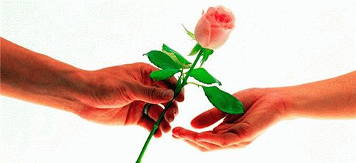 К чему снится что дарят цветы?