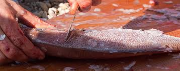 К чему снится чистить рыбу по соннику Фрейда, Миллера, Лоффа