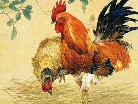 Приметы и суеверия о петухе