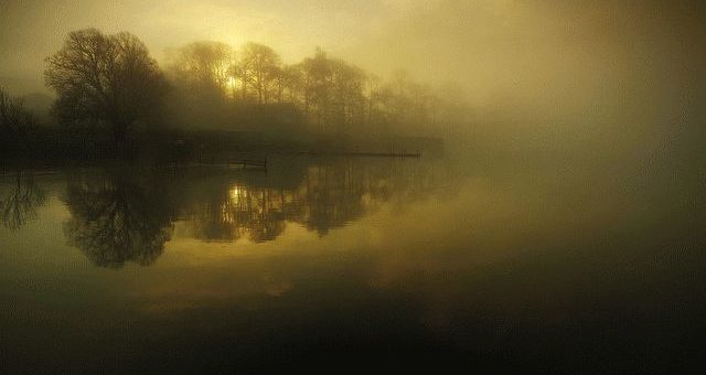 Приметы на погоду - по растениям, животным, луне и солнцу