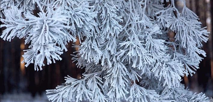 Народные приметы о погоде, отношениях и деньгах