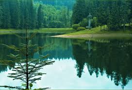 К чему снится озеро по соннику Фрейда, Миллера, Цветкова