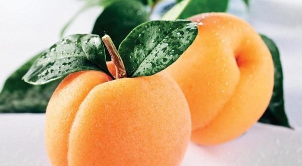 Абрикосы во сне: хорошее или плохое предзнаменование, к чему снятся абрикосы