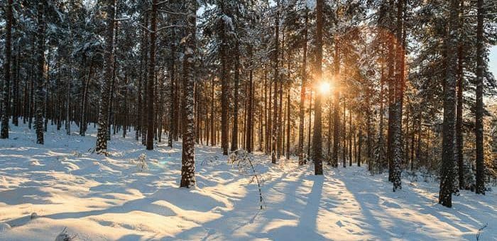 Приметы народного календаря по месяцам года
