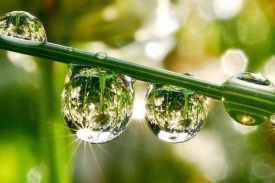 Приметы о росе