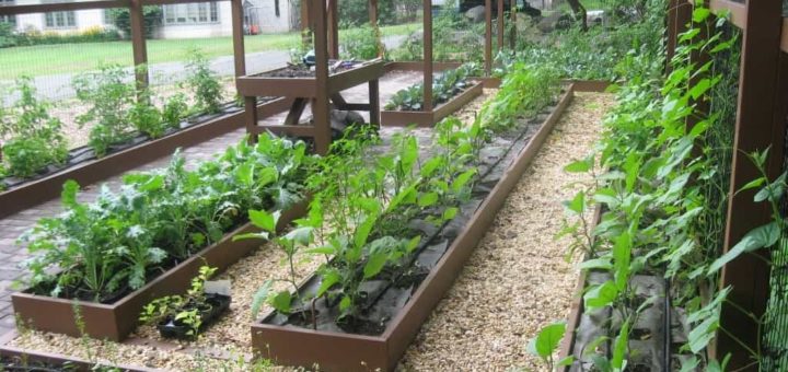 К чему снятся грядки по сонникам Миллера, Ванги, Лоффа