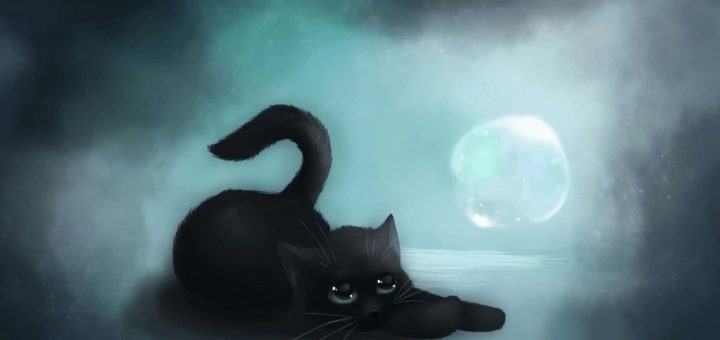 Приметы про кошек в доме и на улице