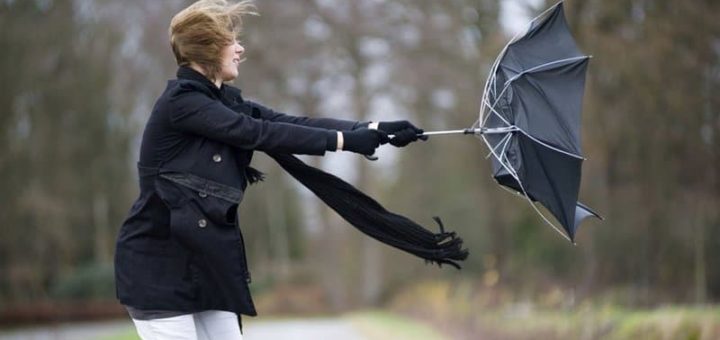 К чему снится сильный ветер по сонникам Миллера, Фрейда