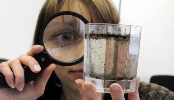 К чему снится грязная вода по сонникам Миллера, Ванги