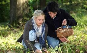 К чему снится собирать грибы по соннику Ванги, Миллера, Фрейда, Цветкова