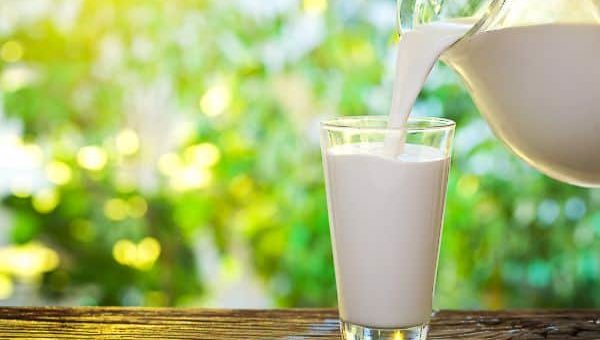 К чему снится молоко в банке по сонникам Миллера, Фрейда