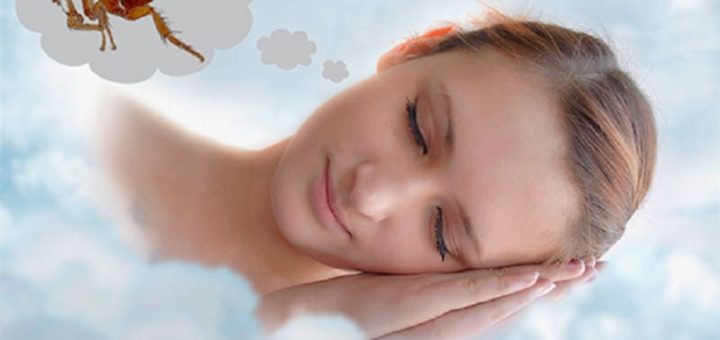 К чему снятся блохи скачущие, кусающие, ползающие