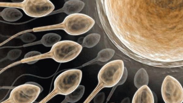 Приворот на сперму - четыре варианта