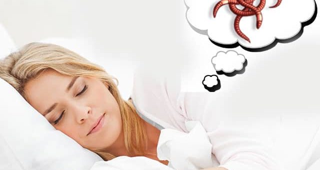 К чему снятся белые черви: расшифровка сна по сонникам Менегетти, Фрейда, Нострадамуса