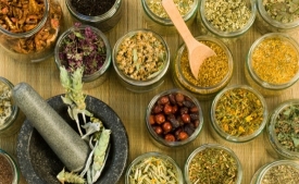 Целебные растения на даче: свойства, как употреблять