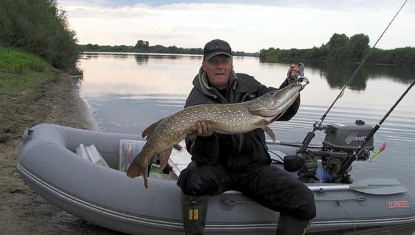К чему снится ловить рыбу по сонникам Фрейда, Миллера