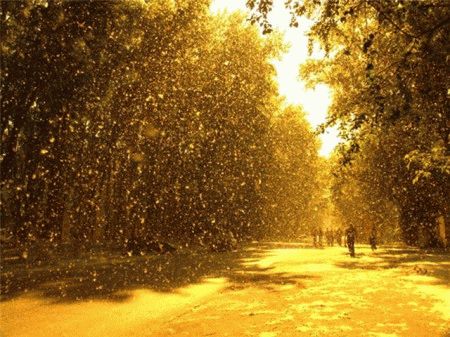 К чему снится снег летом во сне?