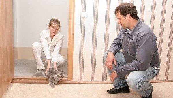 Приметы при переезде в новую квартиру, ритуалы и правила