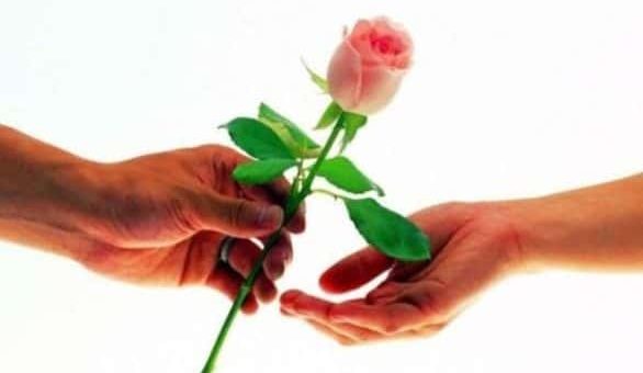 К чему снятся розы во сне по сонникам Миллера, Менегетти