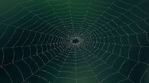 К чему снится паутина по сонникам Миллера, Фрейда, Ванги, Нострадамуса