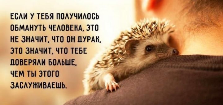 К чему снится обман по сонникам Зимы, Английскому соннику, Семейному соннику