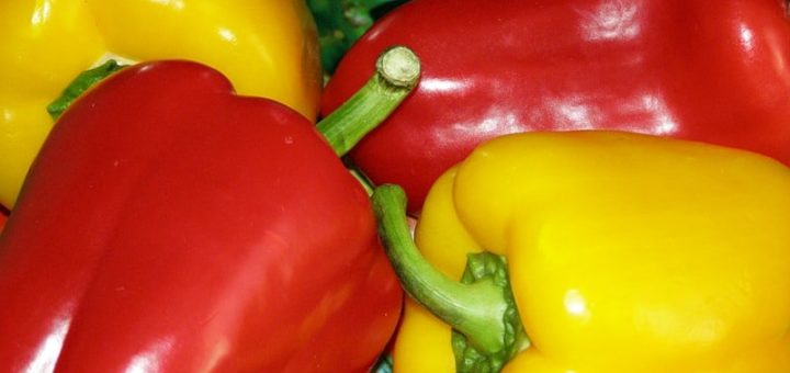 К чему снится болгарский перец по сонникам Миллера, Фрейда, Хассе, другим трактатам