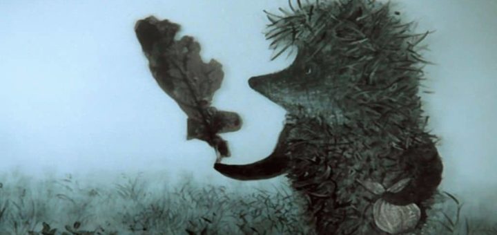 К чему снится ежик женщине?