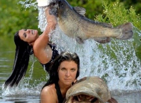 К чему снится во сне ловить рыбу руками по сонникам Миллера, Фрейда, Ванги