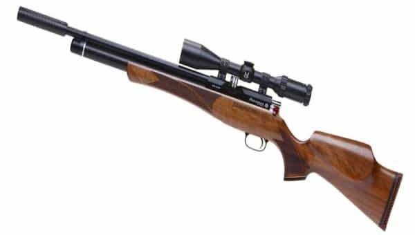 К чему снится ружье по сонникам Зимы, Фрейда, Медеи