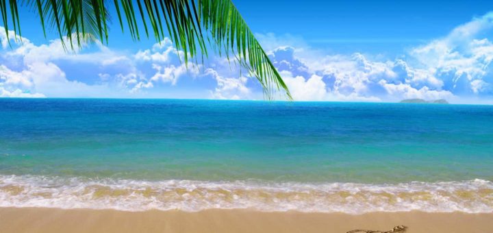 К чему снится море во сне по сонникам Ванги, Миллера и Фрейда.