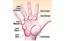 Холм Венеры и Холм Луны на ладони