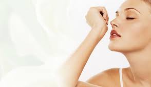 К чему снятся духи по сонникам Миллера, Фрейда, Цветкова