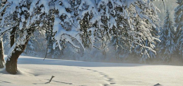 Народные приметы зимы - угадываем погоду без синоптиков