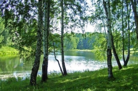 Какого числа Троица в 2019 году. Народные традиции и обычаи на Троицу