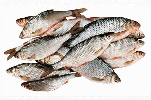 Что значит покупать рыбу во сне?