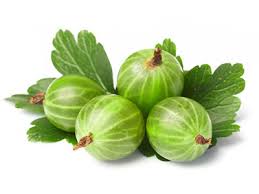 К чему снится крыжовник по соннику Миллера, Цветкова, Фрейда