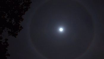 Приметы хорошей погоды - предсказания точнее метеорологов