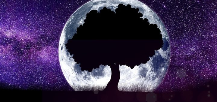 лунный календарь