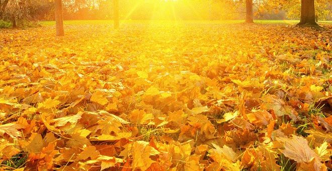 Приметы осени - на хорошую и плохую погоду