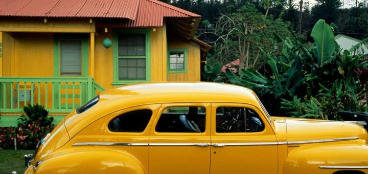 К чему снится жёлтый цвет по сонникам Шеременской, Прозорова