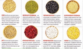 Блюда из бобов: лучшие рецепты