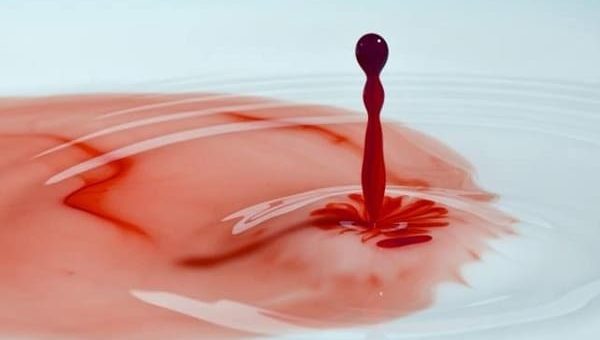 К чему снится своя кровь по сонникам Миллера, Ванги