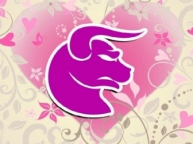 Гороскоп на 2019 год Телец