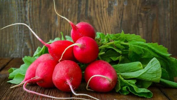 К чему снится редиска по сонникам Миллера, Адаскиной