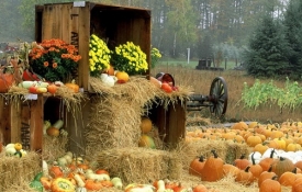 Народные праздники и традиции июня