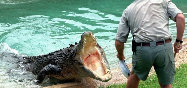 К чему снится нападение во сне по лучшим сонникам