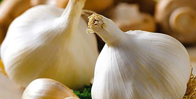 К чему снится чеснок по сонникам Миллера, Хассе и Фрейда