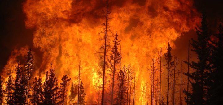 К чему снится пожар по сонникам: Миллера, Ванги, Нострадамуса